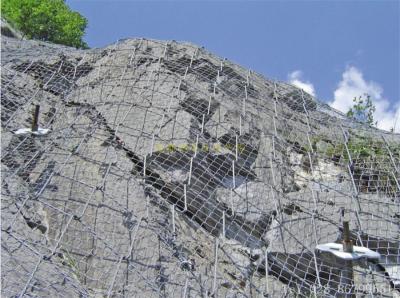 絞索網(wǎng)、蜘蛛網(wǎng)